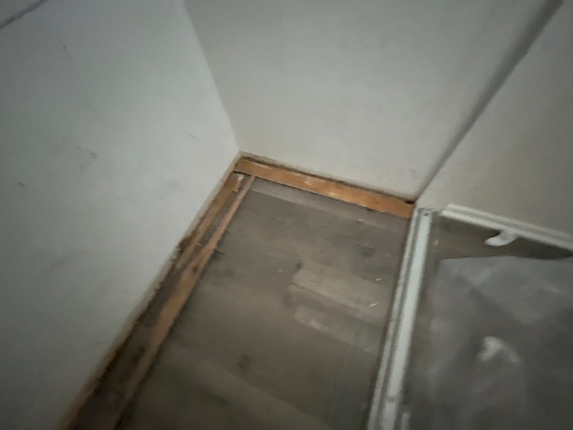 Mold Remediation & Rebuild in Laguna Niguel by One Stop Source