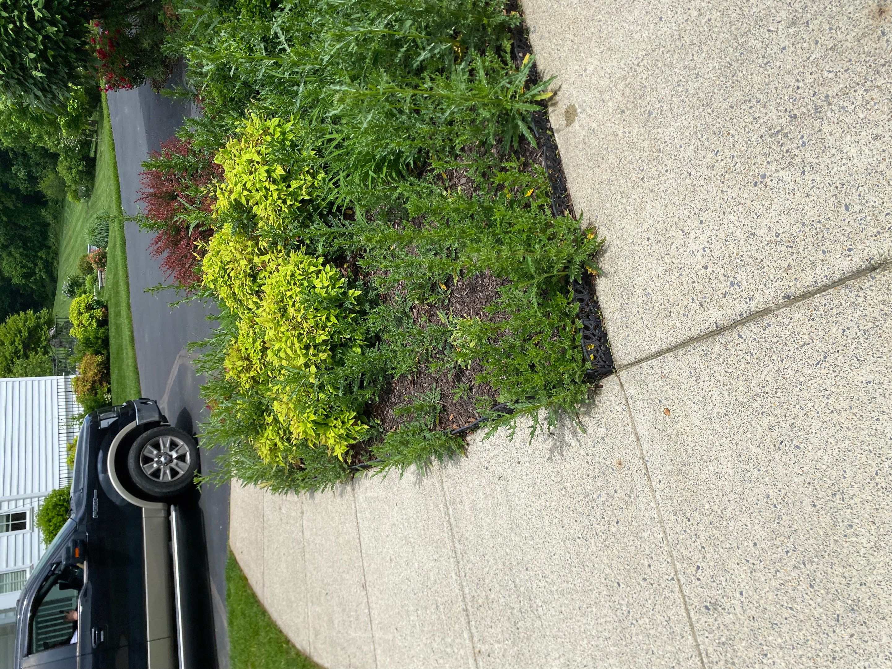 Landscape Cleanup & Mulch  by The Smet Companies, LLC
