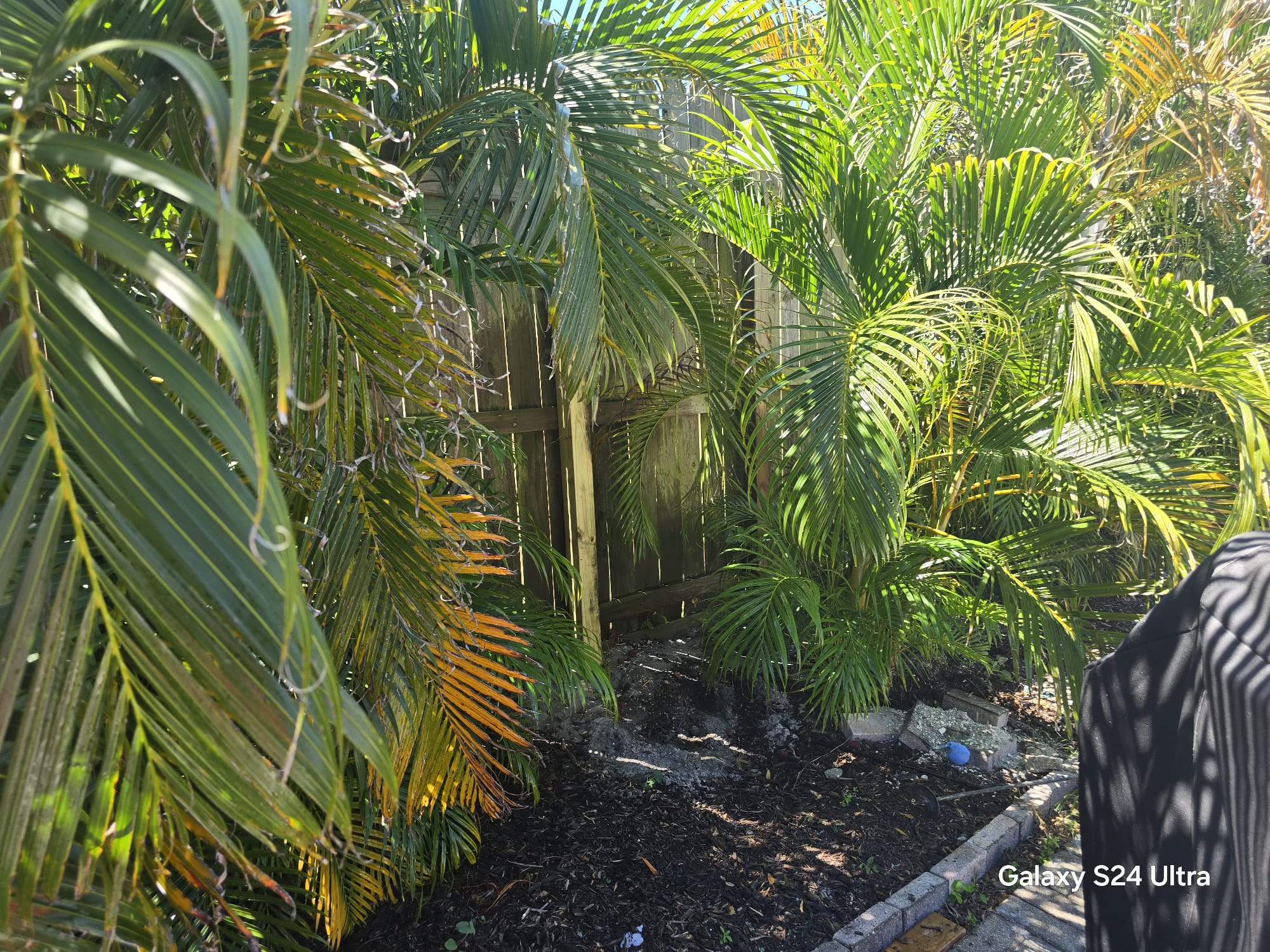 Residential Wood Privacy and Chain Link Fence Installation in Sarasota by True Fence LLC