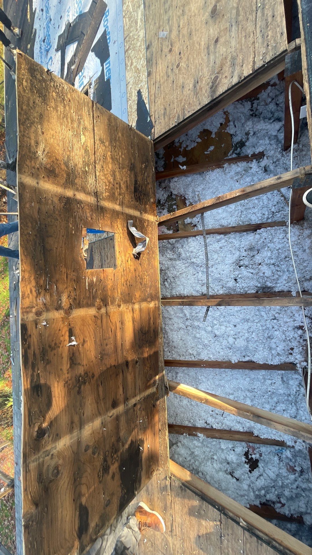 Roof Replacement using CertainTeed Landmark Pro by 180 Contractors