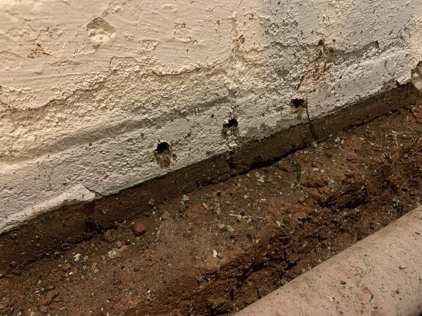 Helping Diane Protect Her Home by Waterproofing Northeast