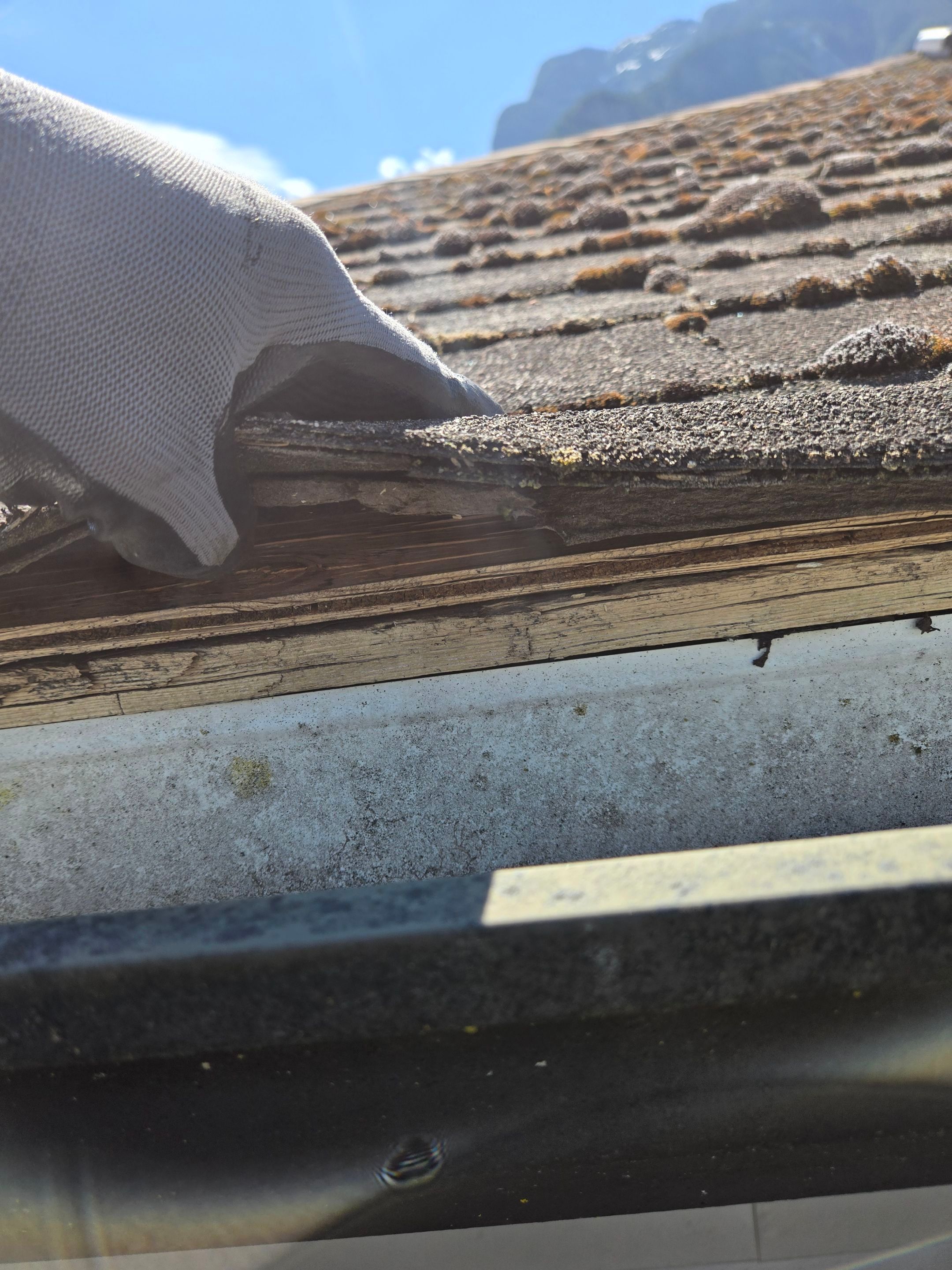 Residential Reroof Shingle - Barkwood by Top Notch Roofing Inc