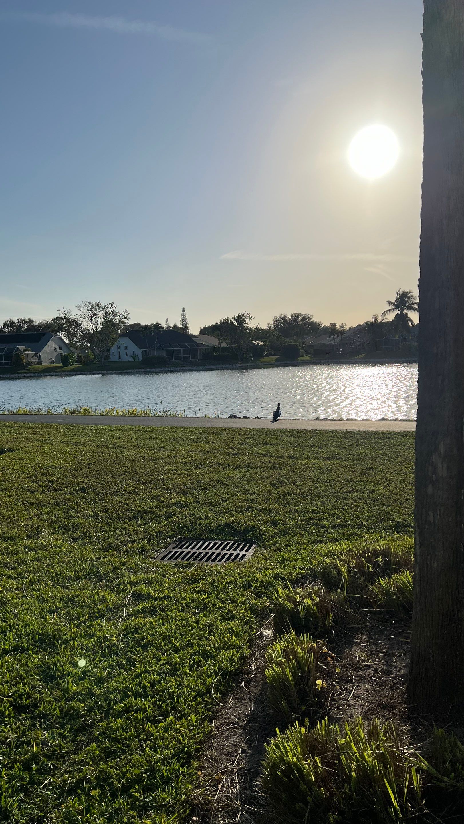 Naples Community Stormwater System Maintenance by APS Power & Water