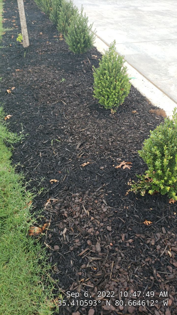 Commercial Landscaping Harris Teeter Fuel Station by Carolina-Metro Landscape, Inc