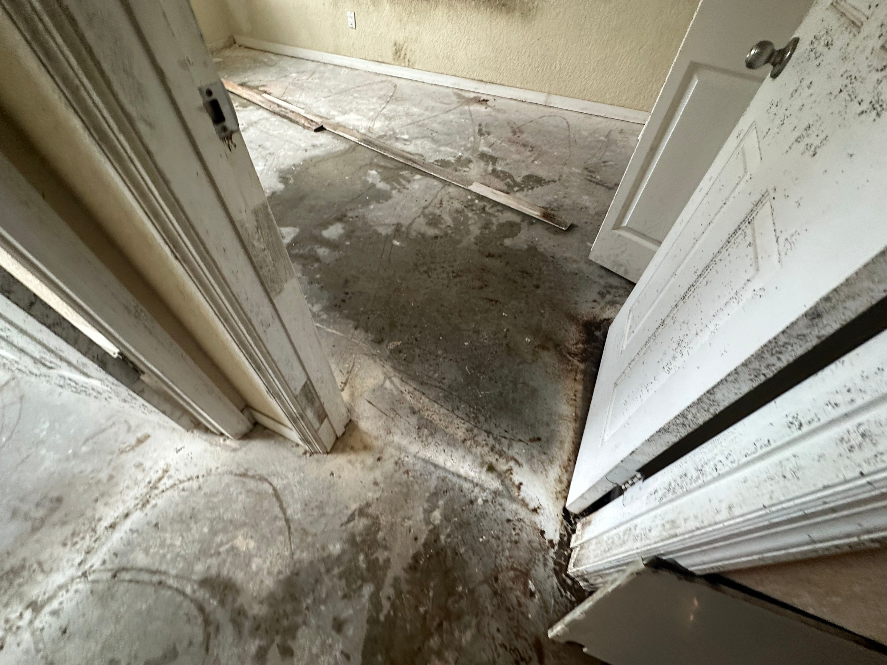 Water Damage Claim in Daytona Beach by FLAPA & KeyStone