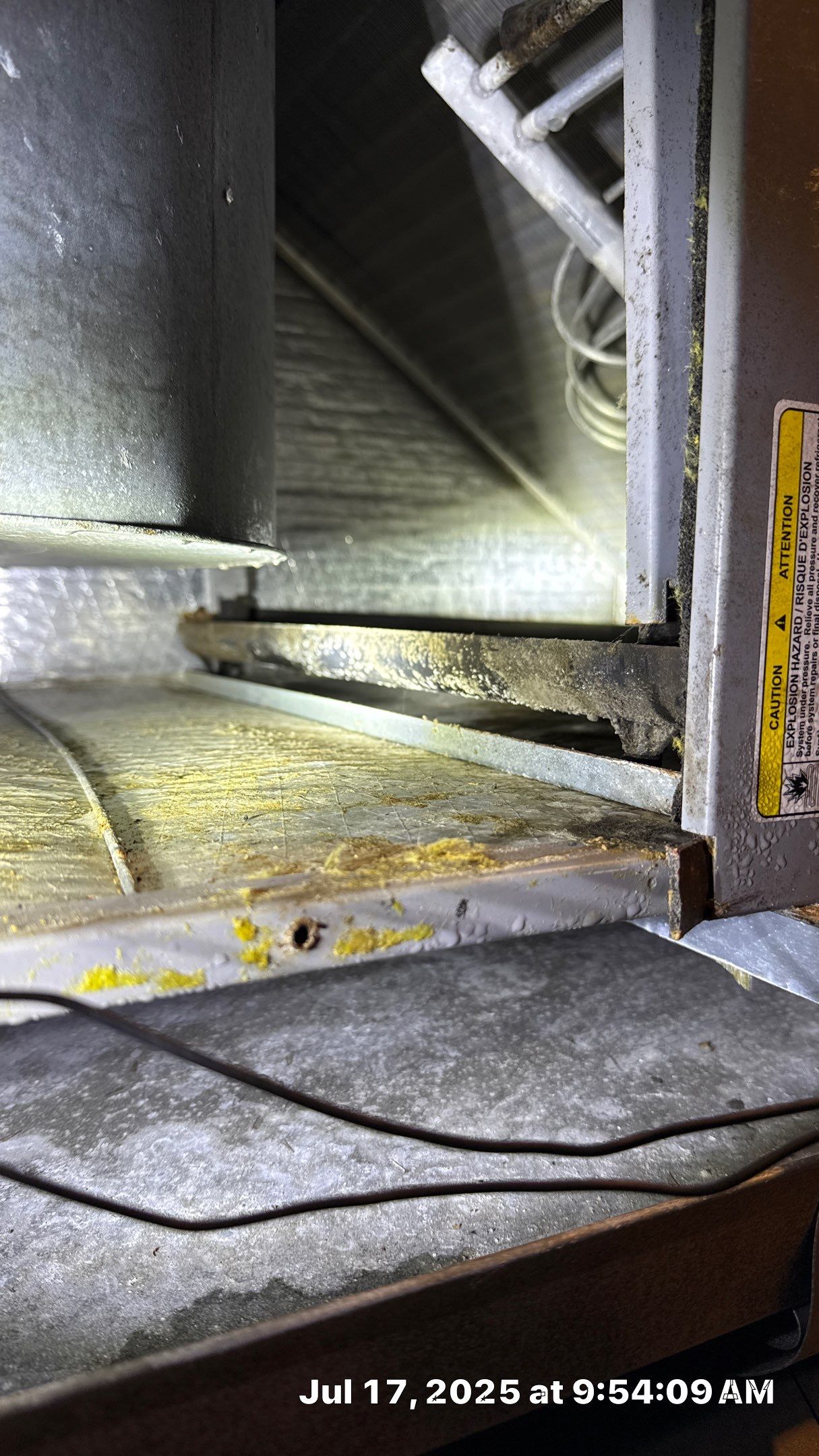 Mold Assessment in a 100+ year old house by Building performance Solutions LLC