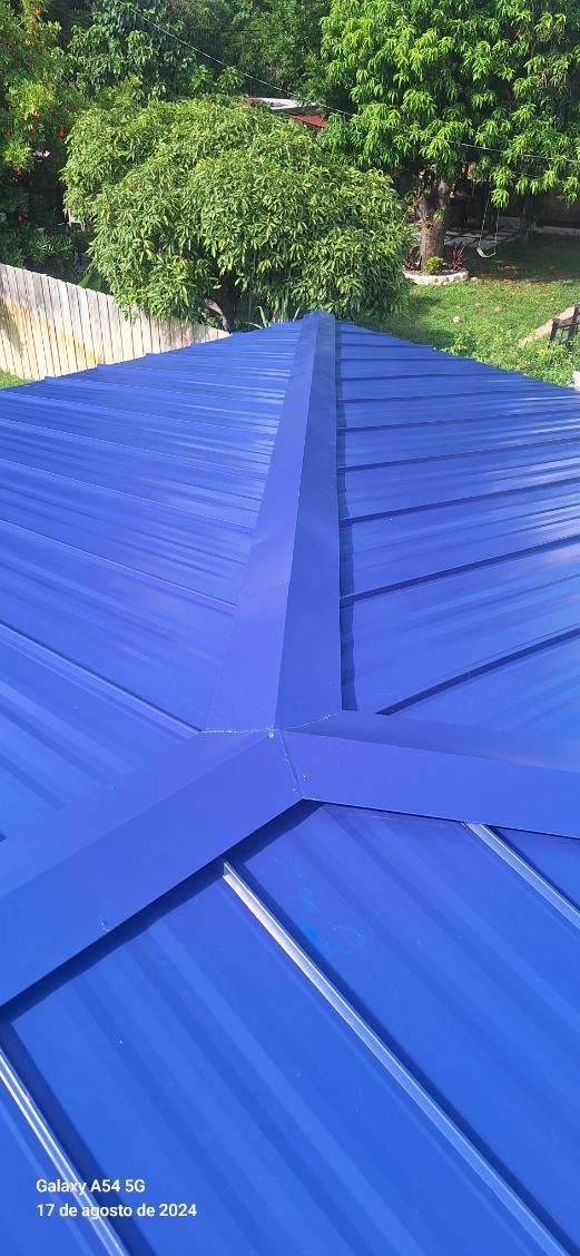Royal Blue Standing Seam by Reimagine Roofing