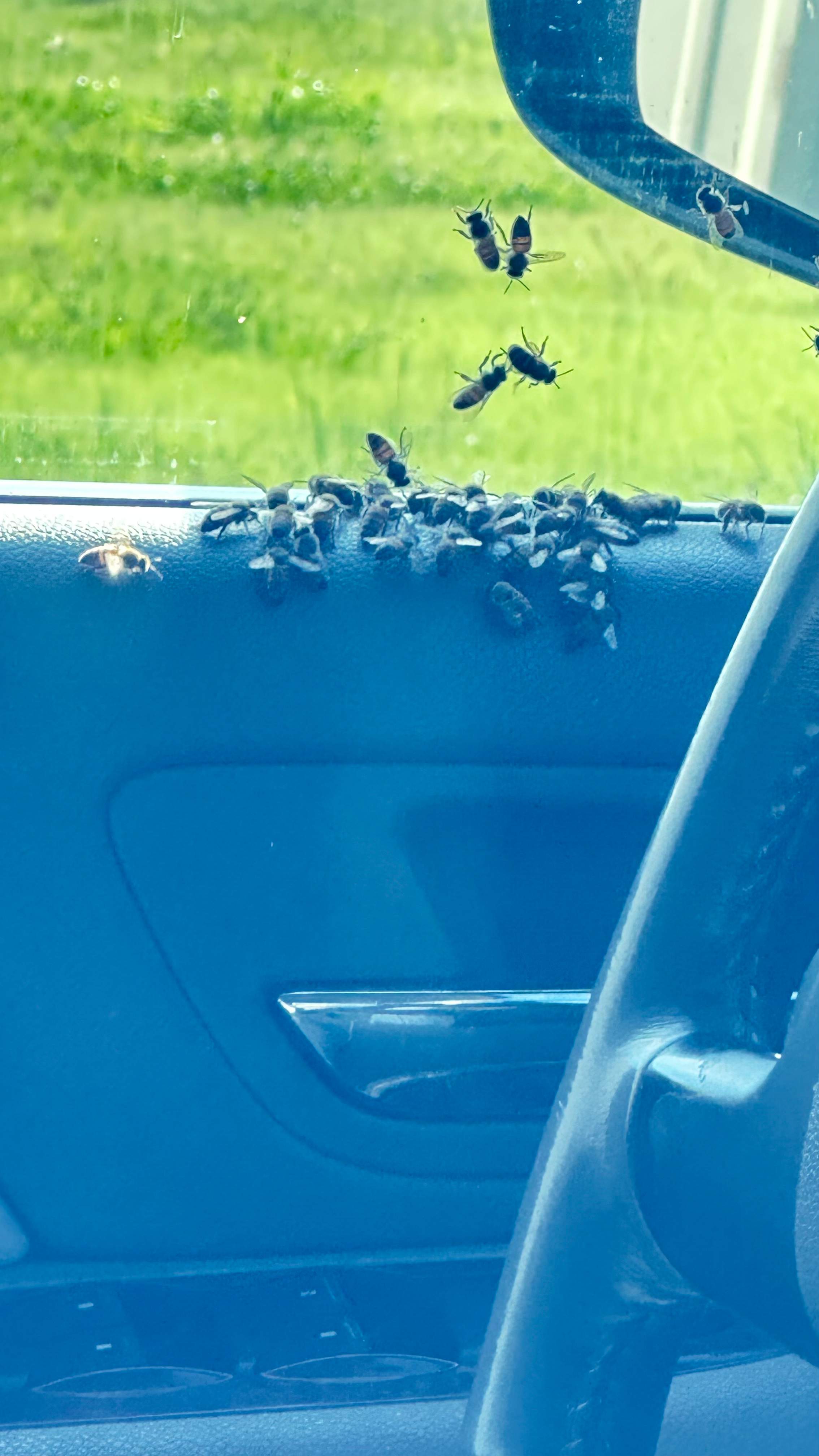 Composter by Rockwall Honey Bee Company