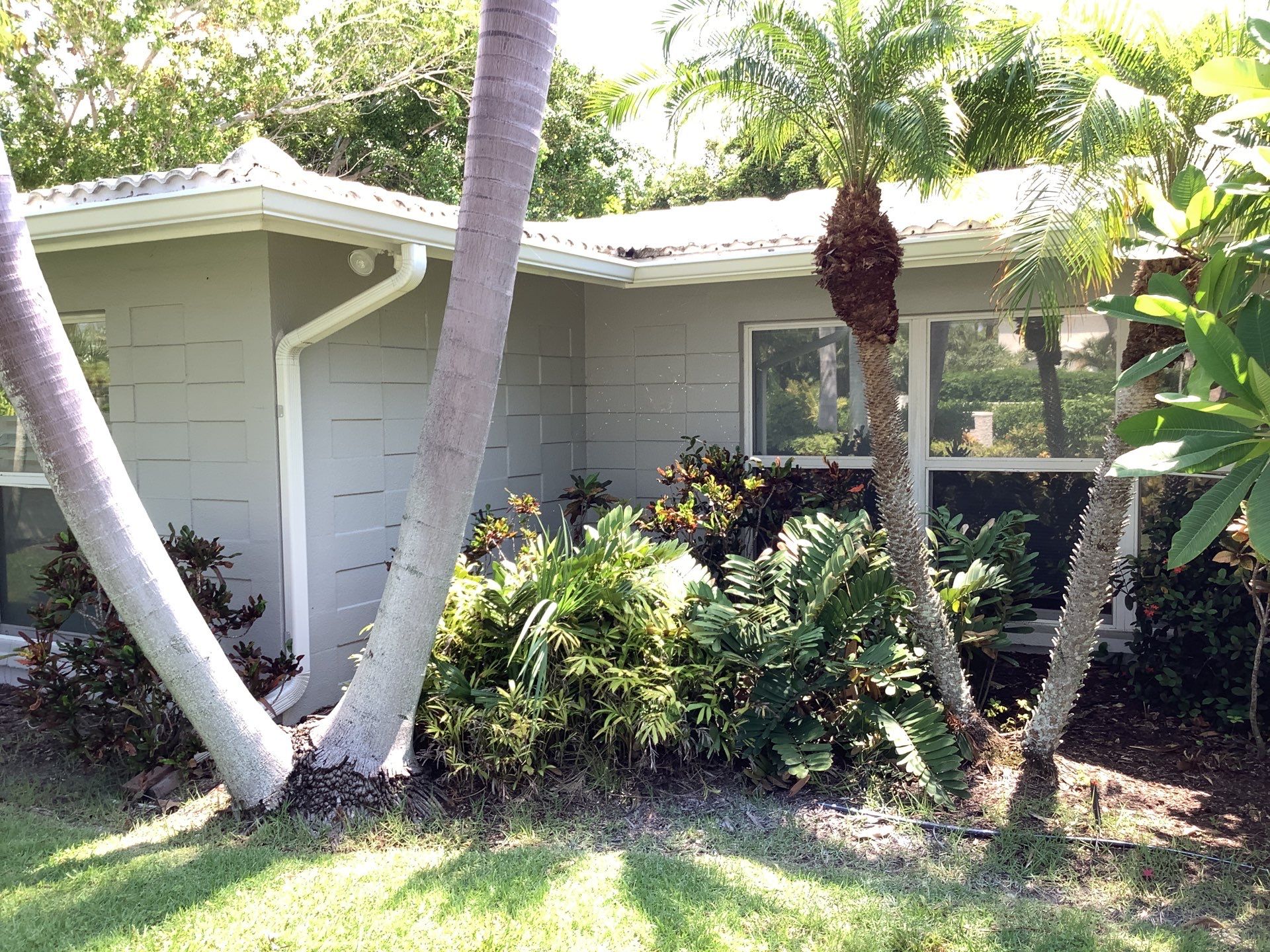 Gutter Cleaning Service in Siesta Key FL by Gutter Professors