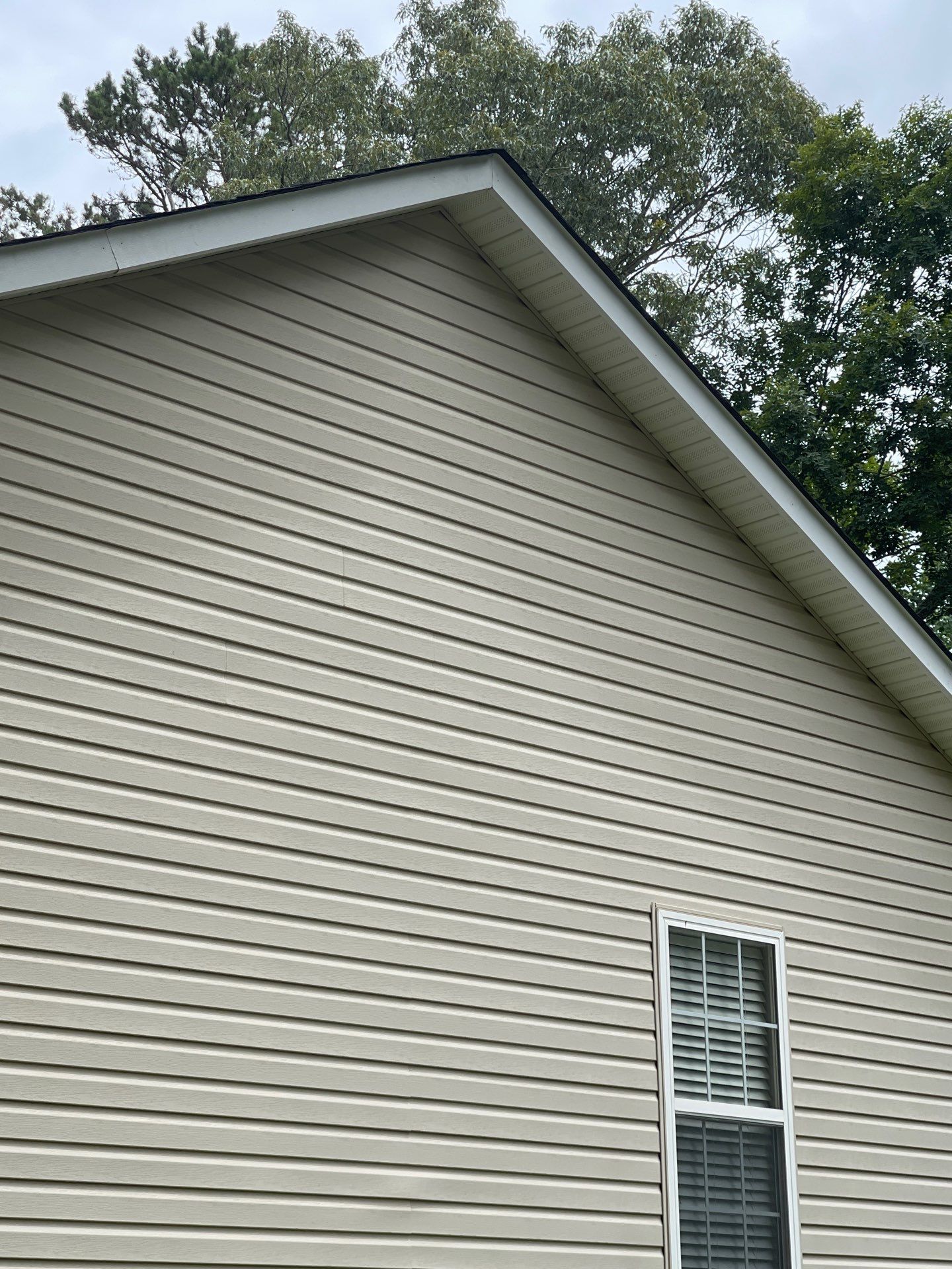 5" Low Gloss White Gutters and new Trim at Peaks by Peak 2 Peak Services LLC