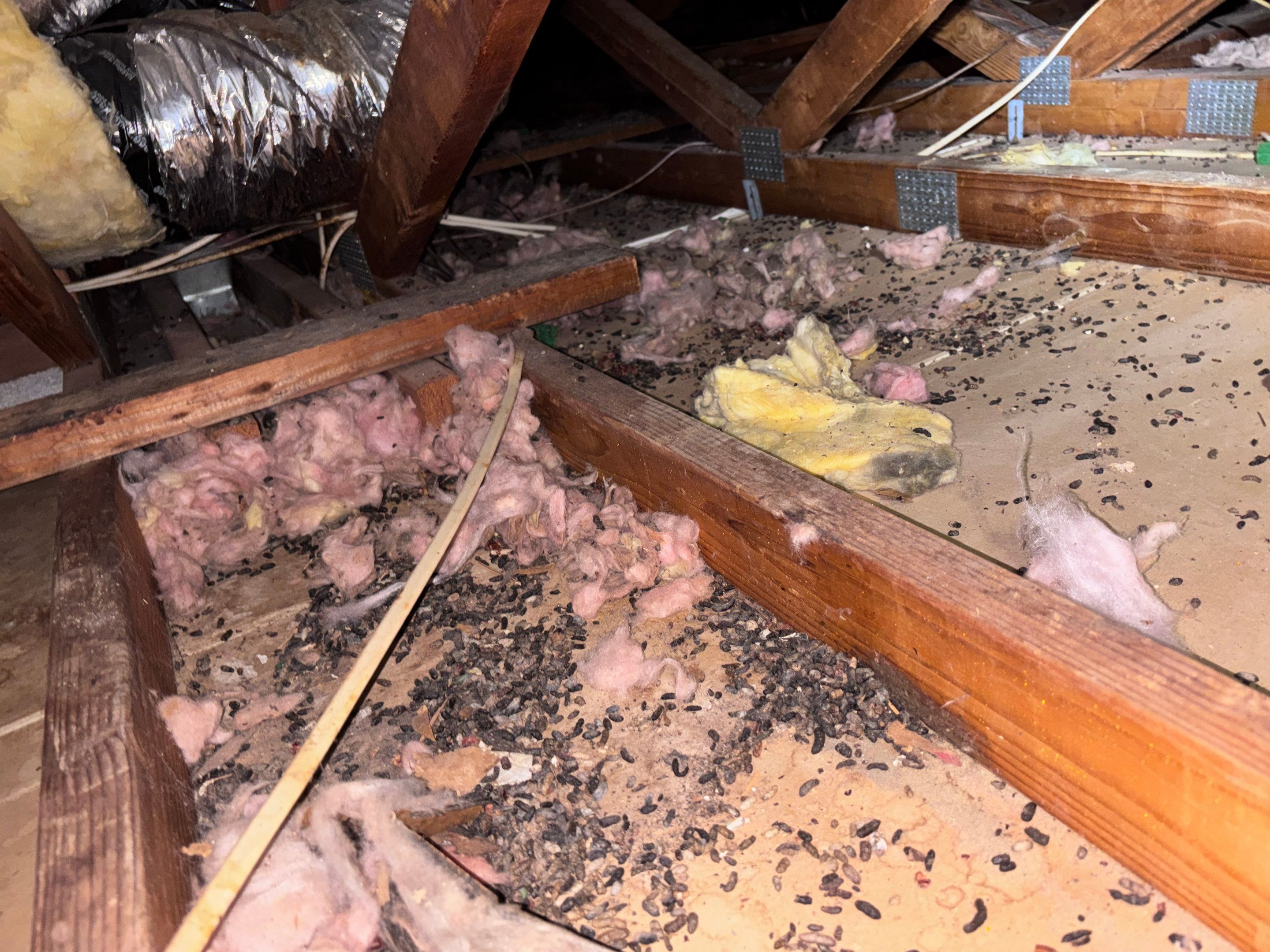 Project in Thousand Oaks by Insulation Labs