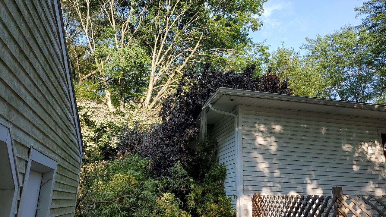 Storm Damaged Tree Removal  by Mike Jones & Sons Tree Service LLC 