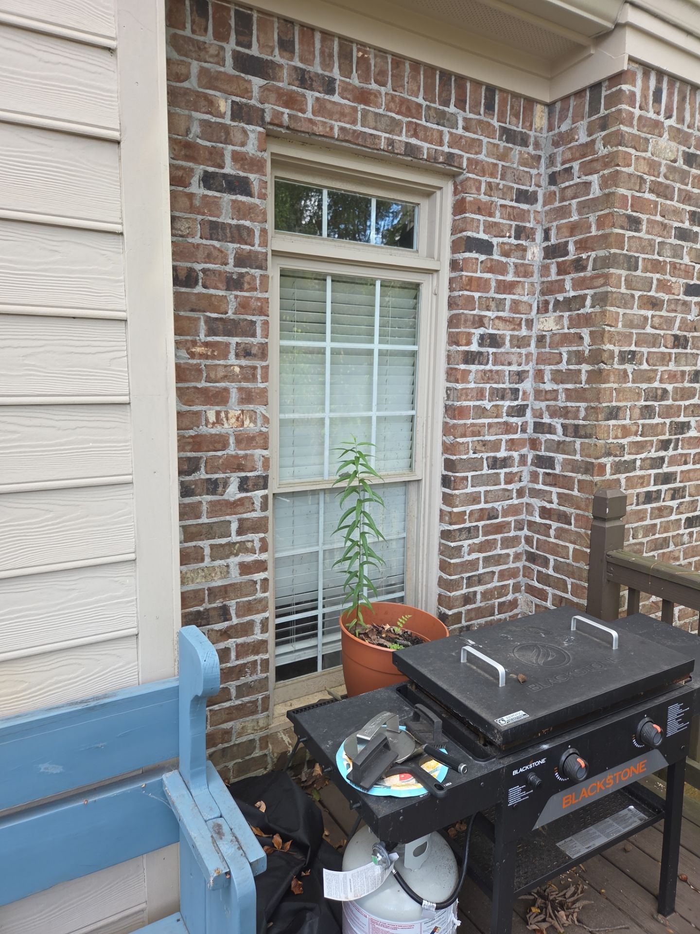 Dew Project in Hoover by The Window Source