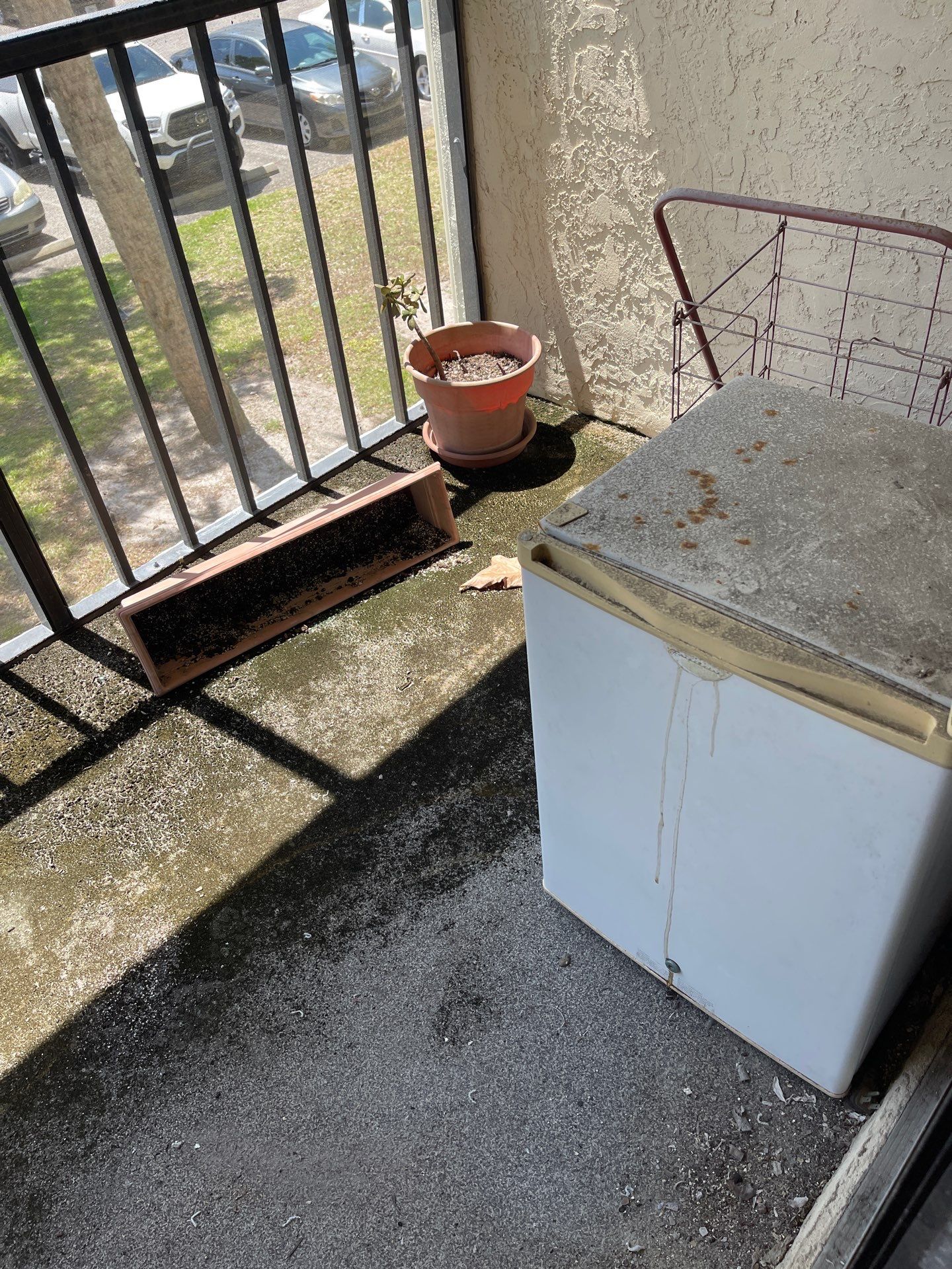 Horder house with Mold and Bacterial Contamination Issues  by Bay Coast Restoration 