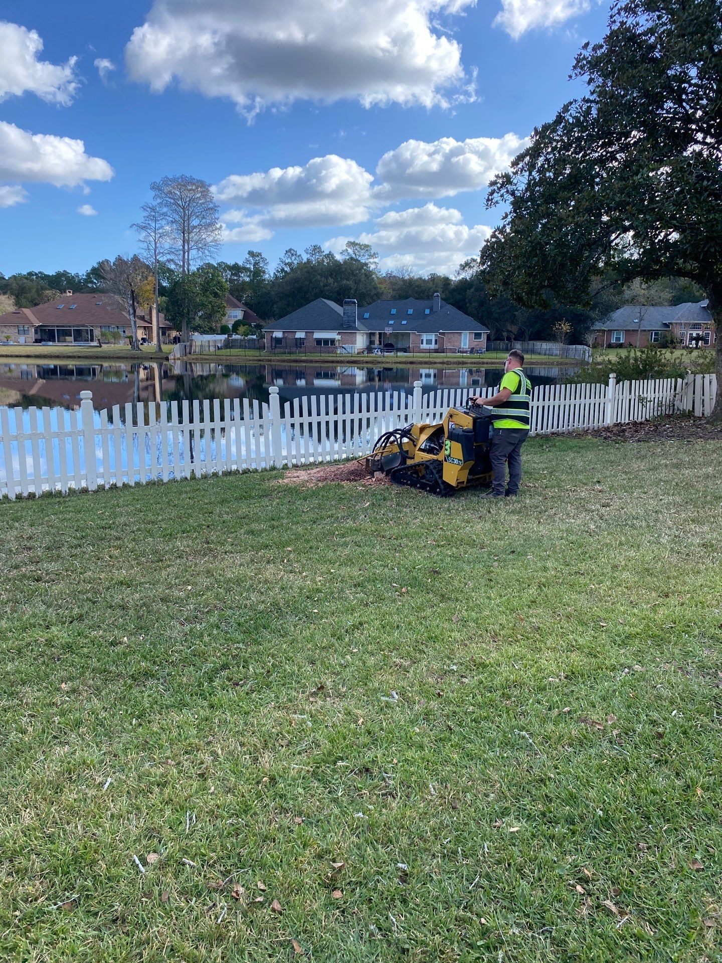 Deerwood Resident | Tree Removal & Palm Trimming by ProGreen Services