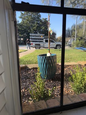 Single Pane Window Glass 