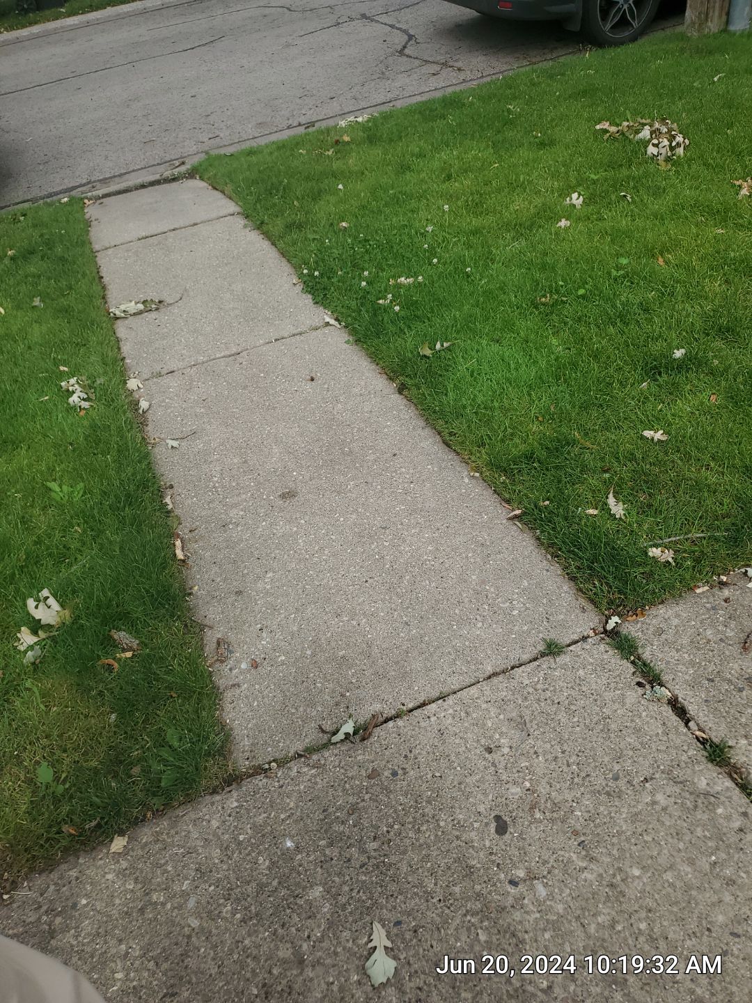 concrete cleaning using Algaecide, soft wash soap by Northern Power Washing LLC.