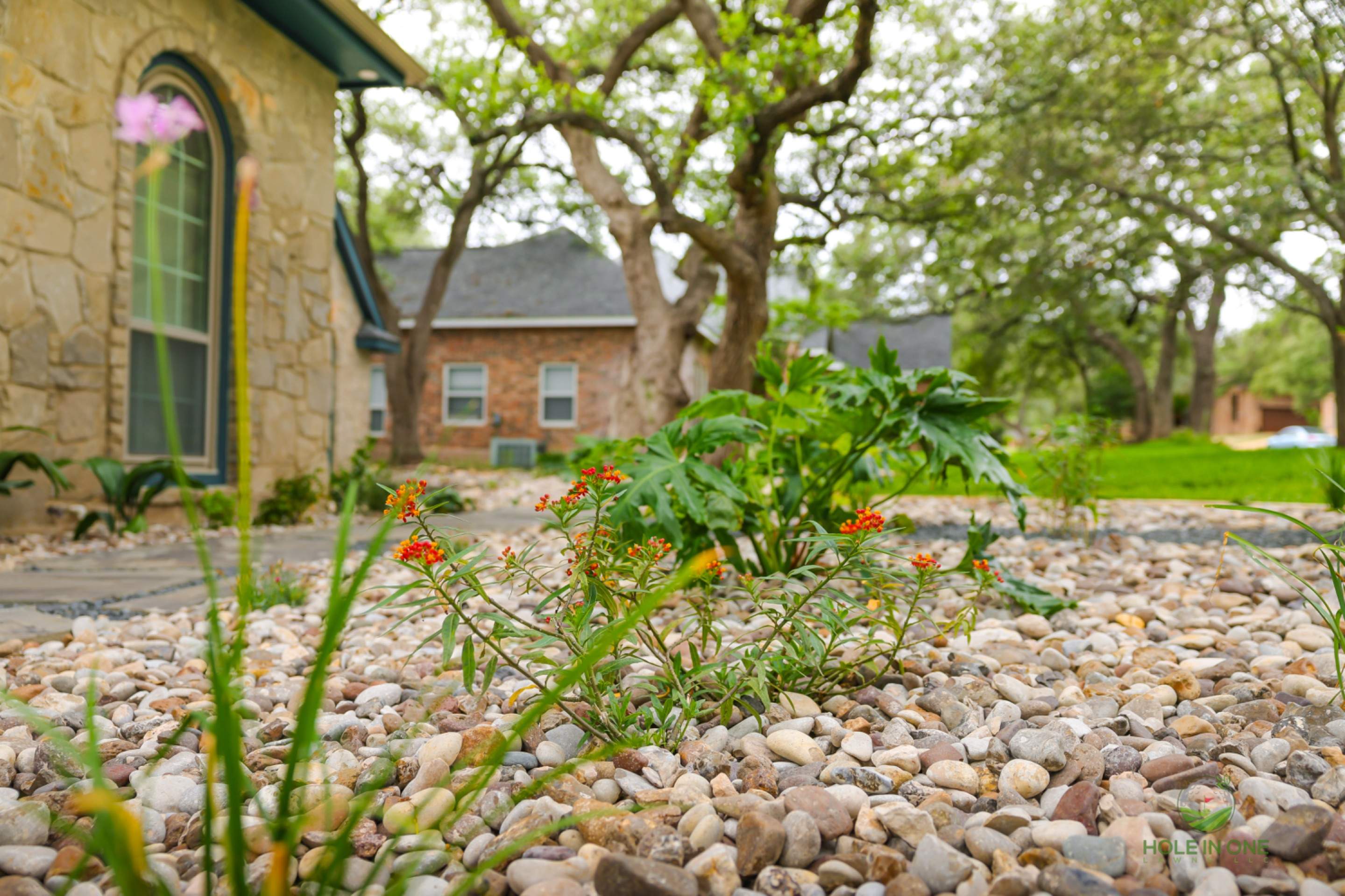 Vista Del Norte, San Antonio TX by Hole In One Lawns, LLC