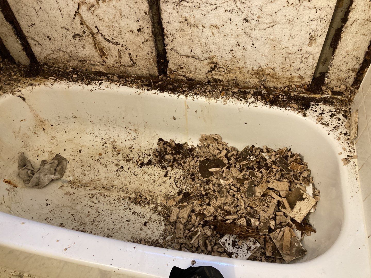Mold Remediation in Bathroom by Accountable Home Services