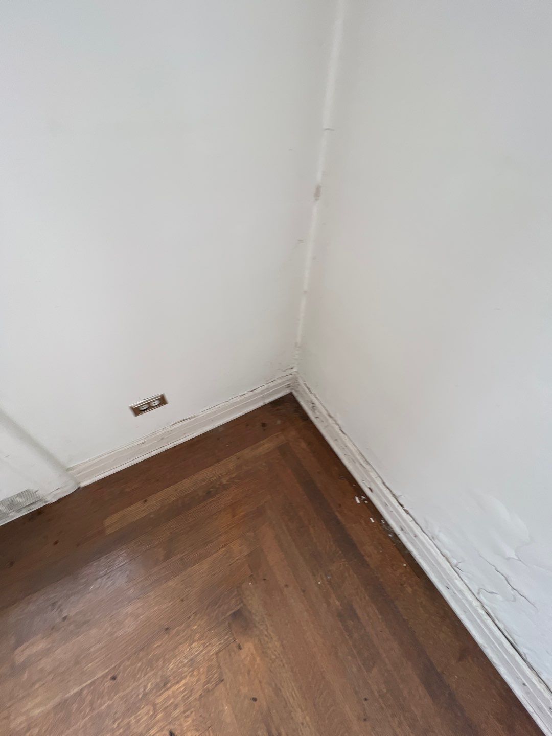 Mold Remediation by Accountable Home Services