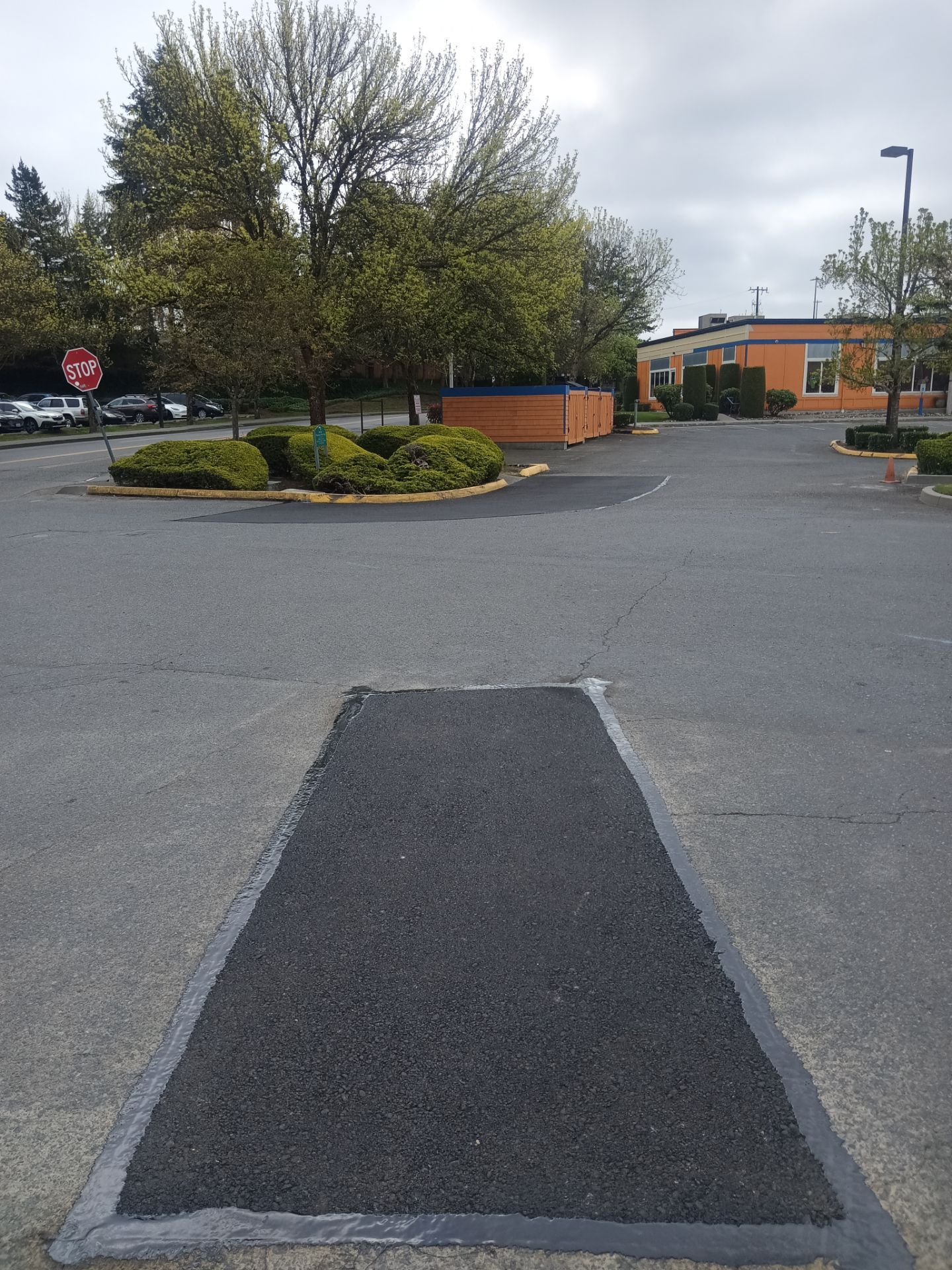 Asphalt Patch Repairs | Mountlake Terrace by Jireh Asphalt & Concrete Inc 