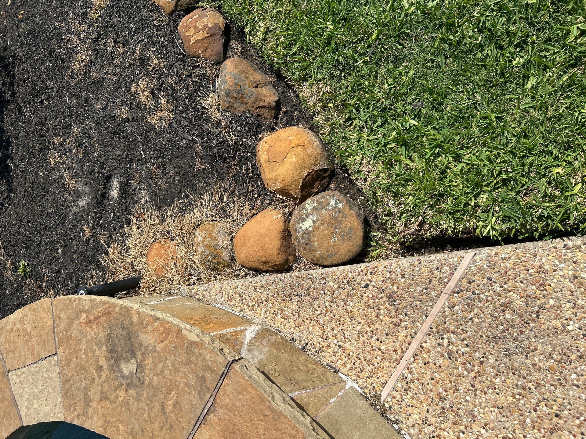 🌿 Larry Caudillo’s Poolside Landscape Revamp by Texas Urban Elements