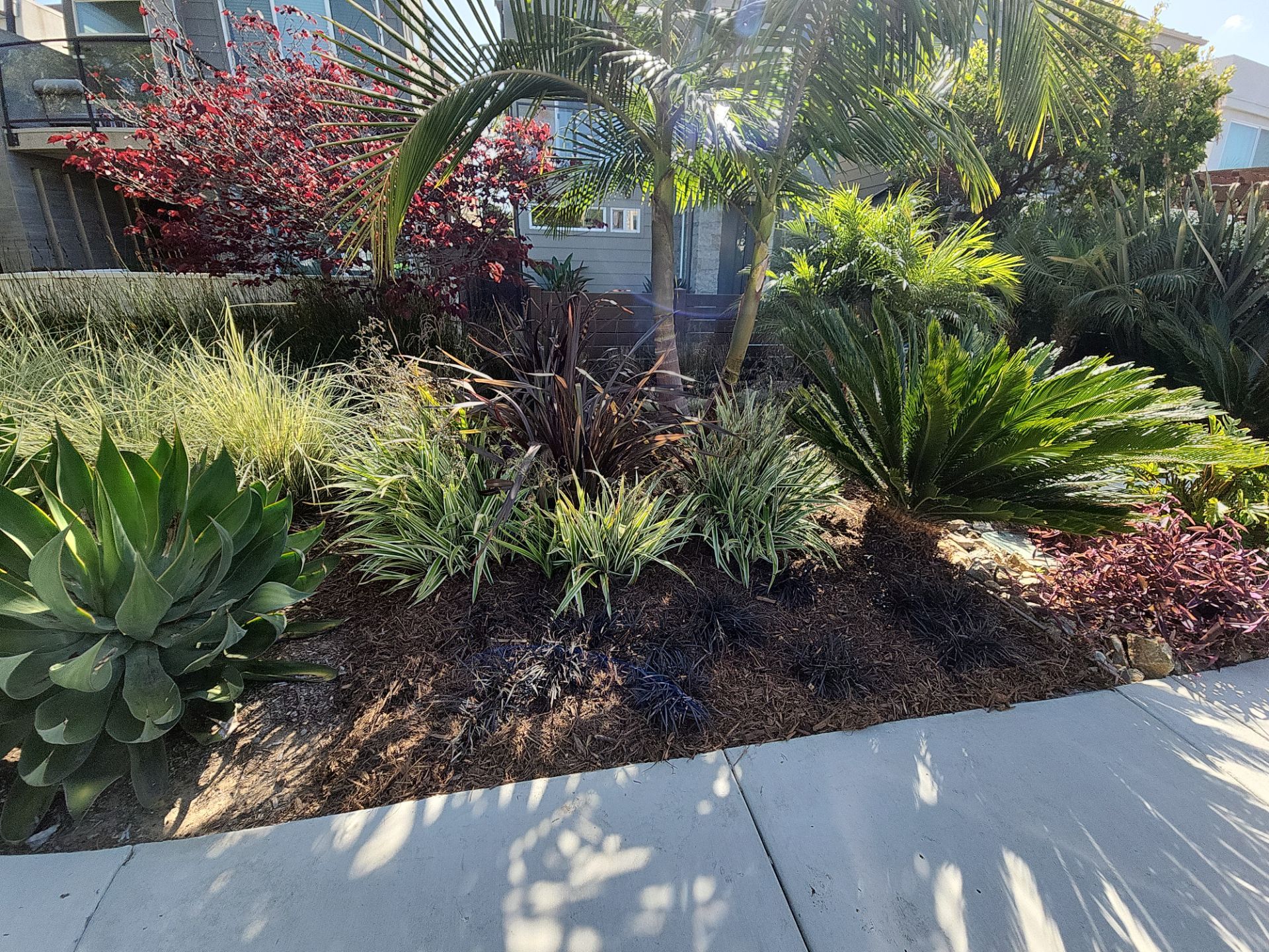 Modern Residential Landscaping in San Diego by Yard Techs