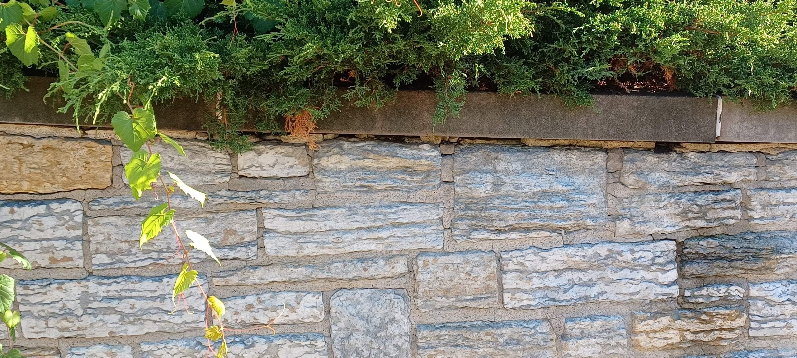 Tuckpointing - St. Paul by Gassen Construction and Maintenance
