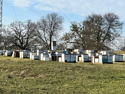 Clubb's Cow Farm Apiary