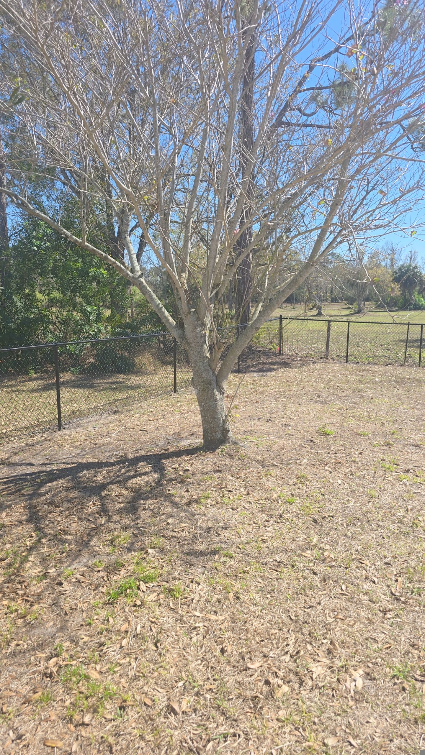 Chain Link Fence in Punta Gorda by True Fence LLC