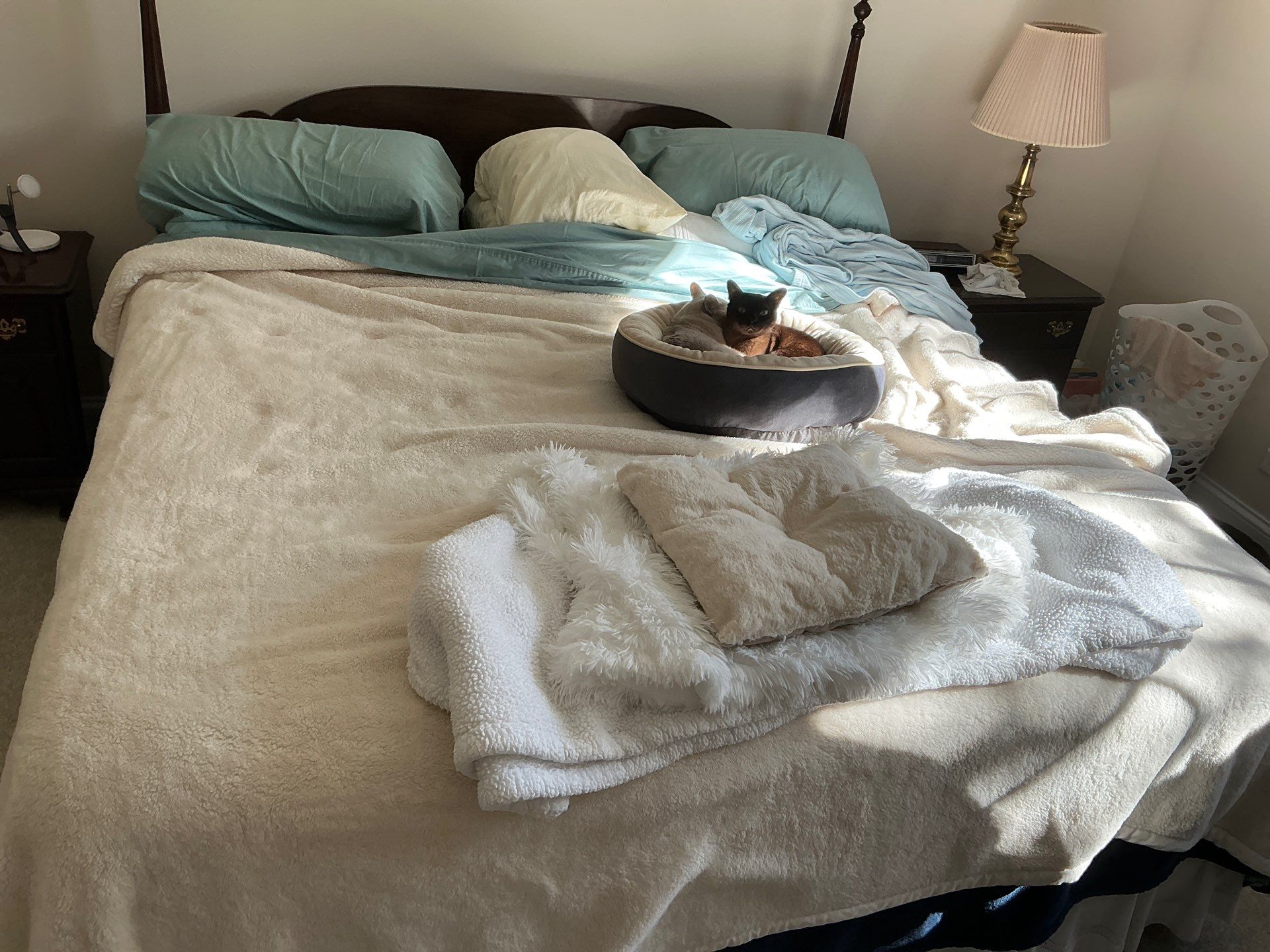 Glen Ellyn by The Junkluggers of Chicago NW Suburbs