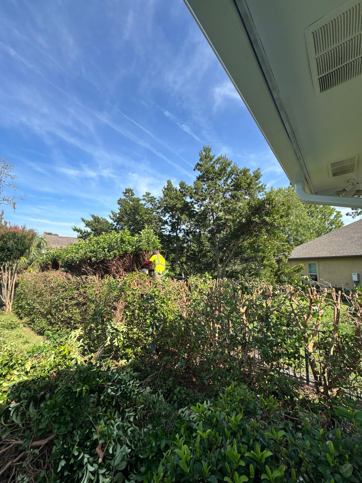 Deerwood Resident | Shrub Trimming by ProGreen Services