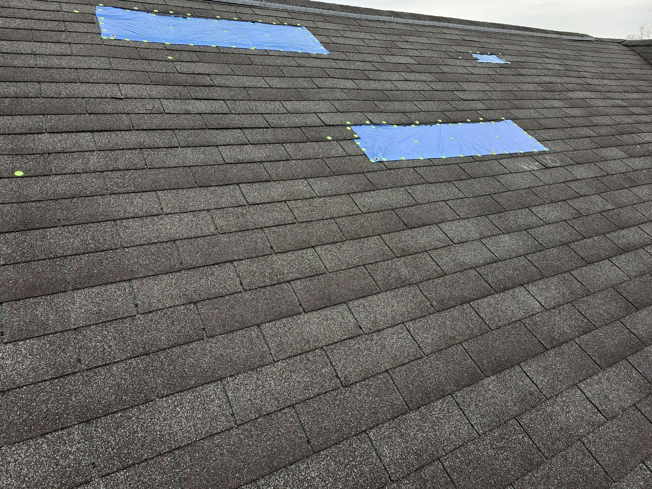 ATLAS PINNACLE COLOR: BLACK SHADOW DRIP EDGE: WHITE by Eagle Eye Roofing