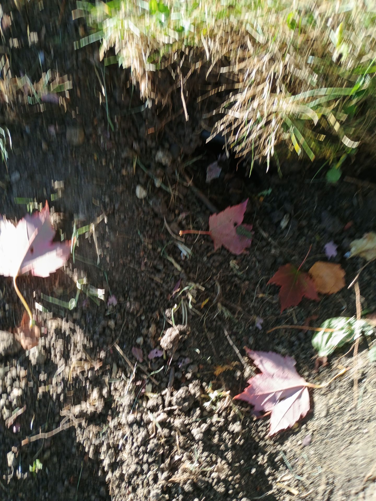 French Drain Installation for Michael by Waterproofing Northeast