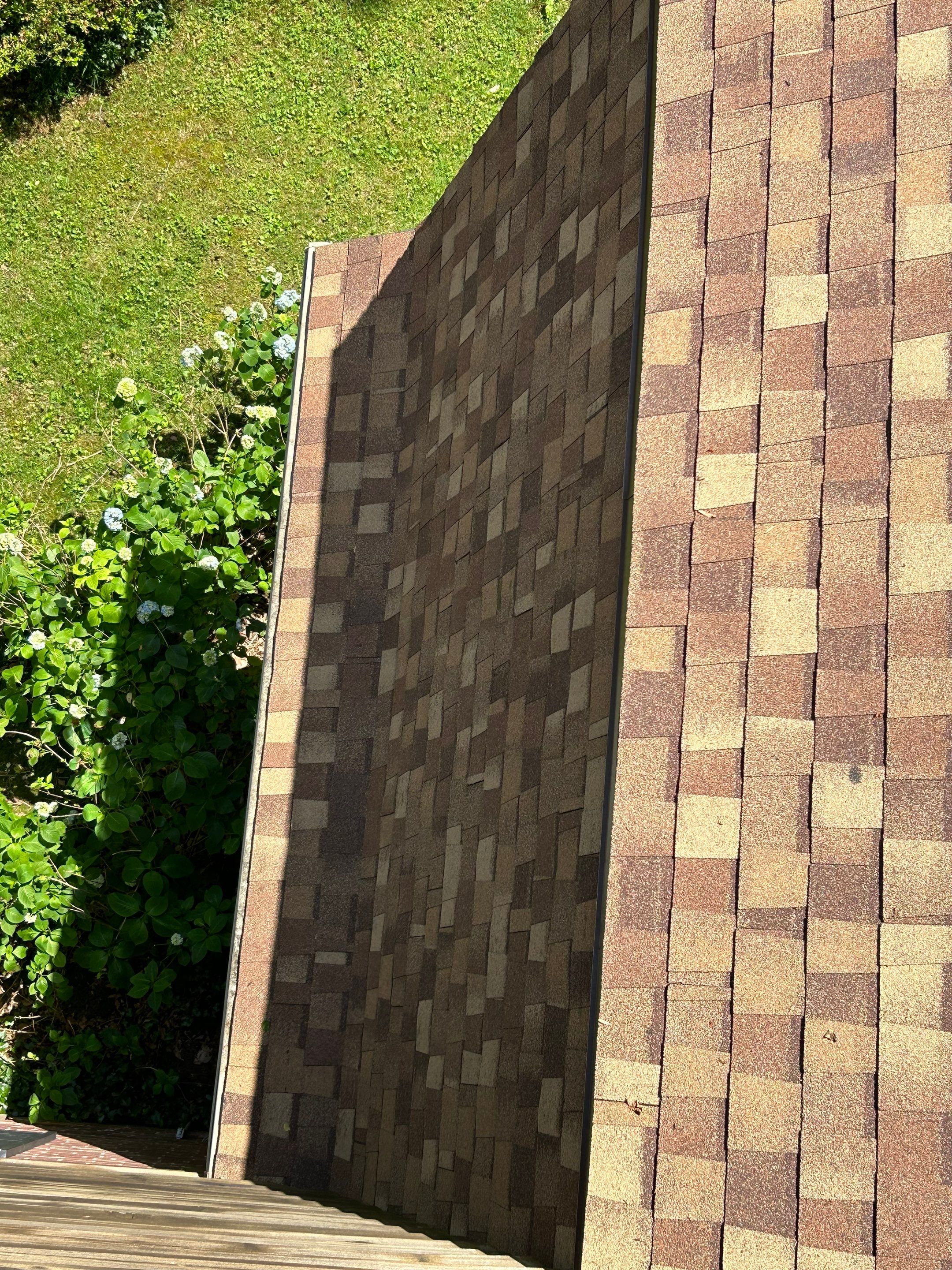 Annandale: Multi-Trade Tree Damage Restoration by RM Banning, Inc.