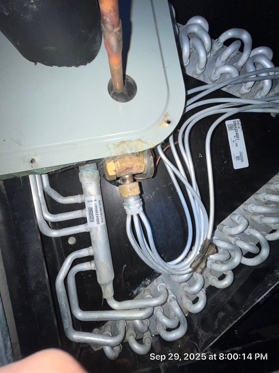 Rally House Humble by Pilo's A/C