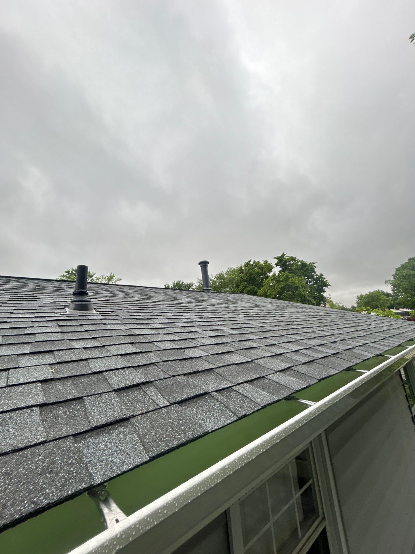 Alexandria: Residential Roof Replacement with CertainTeed Landmark Pro in Max Def Pewter by RM Banning, Inc.