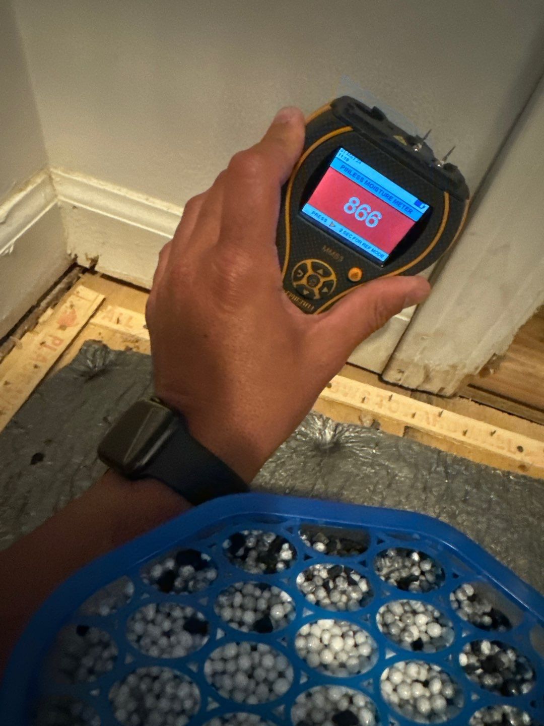 Project in Novi by EzDry Water Mitigation & Property Restoration