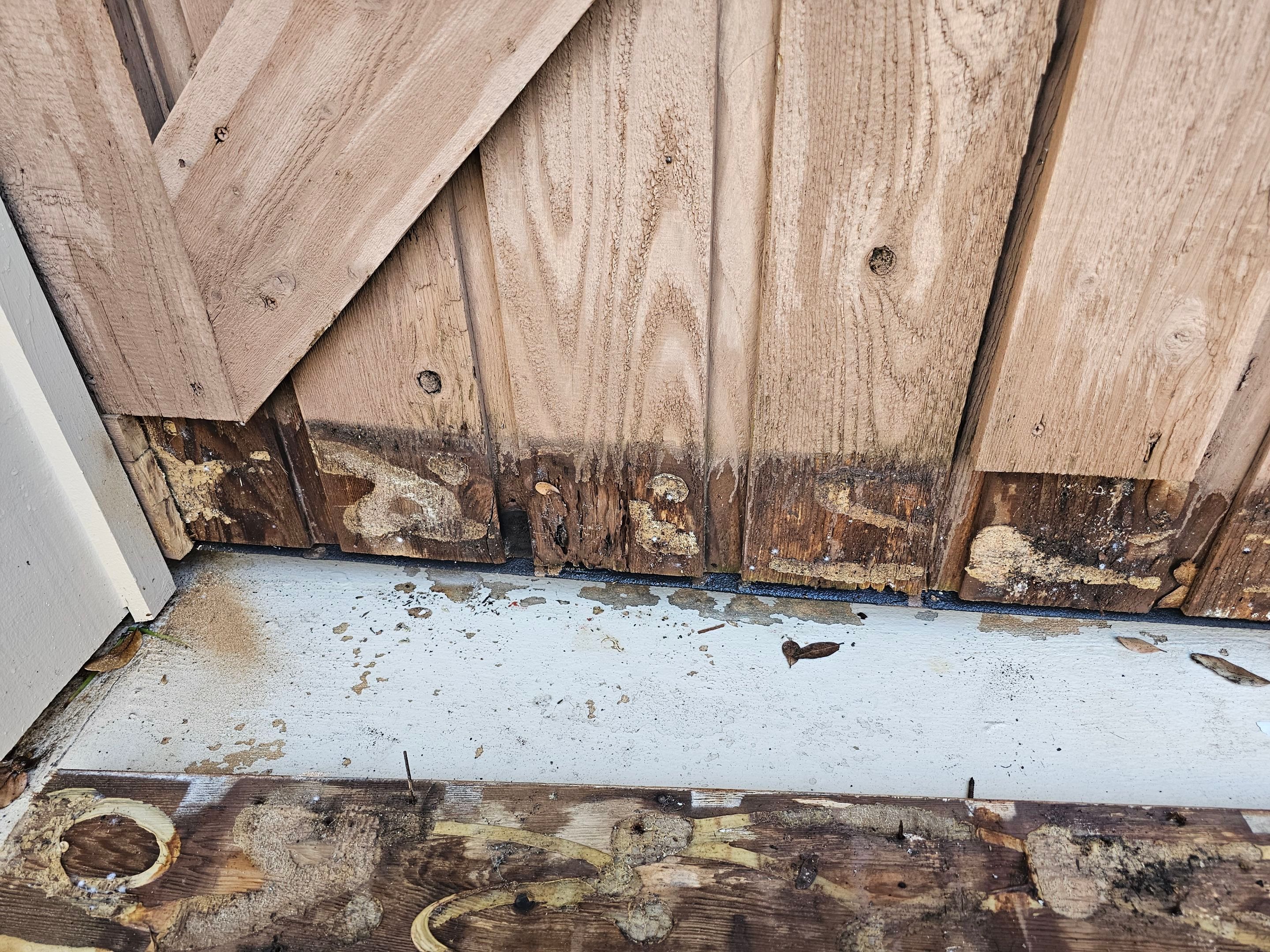 Exterior & interior paint, Garage door repairs, roof replacement & leak repairs by EL-GC LLC 