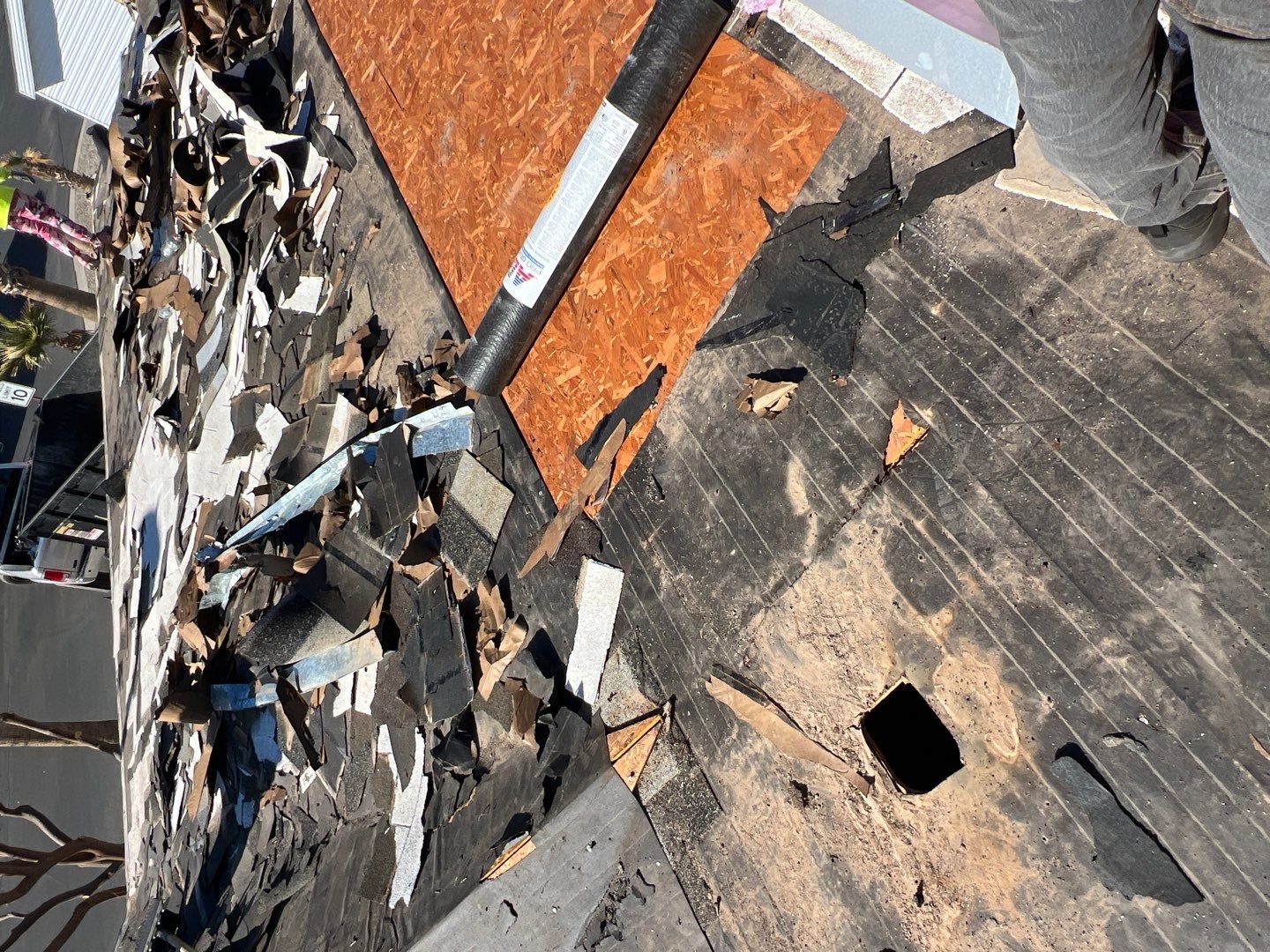 Silver Birch Shingles by Reimagine Roofing