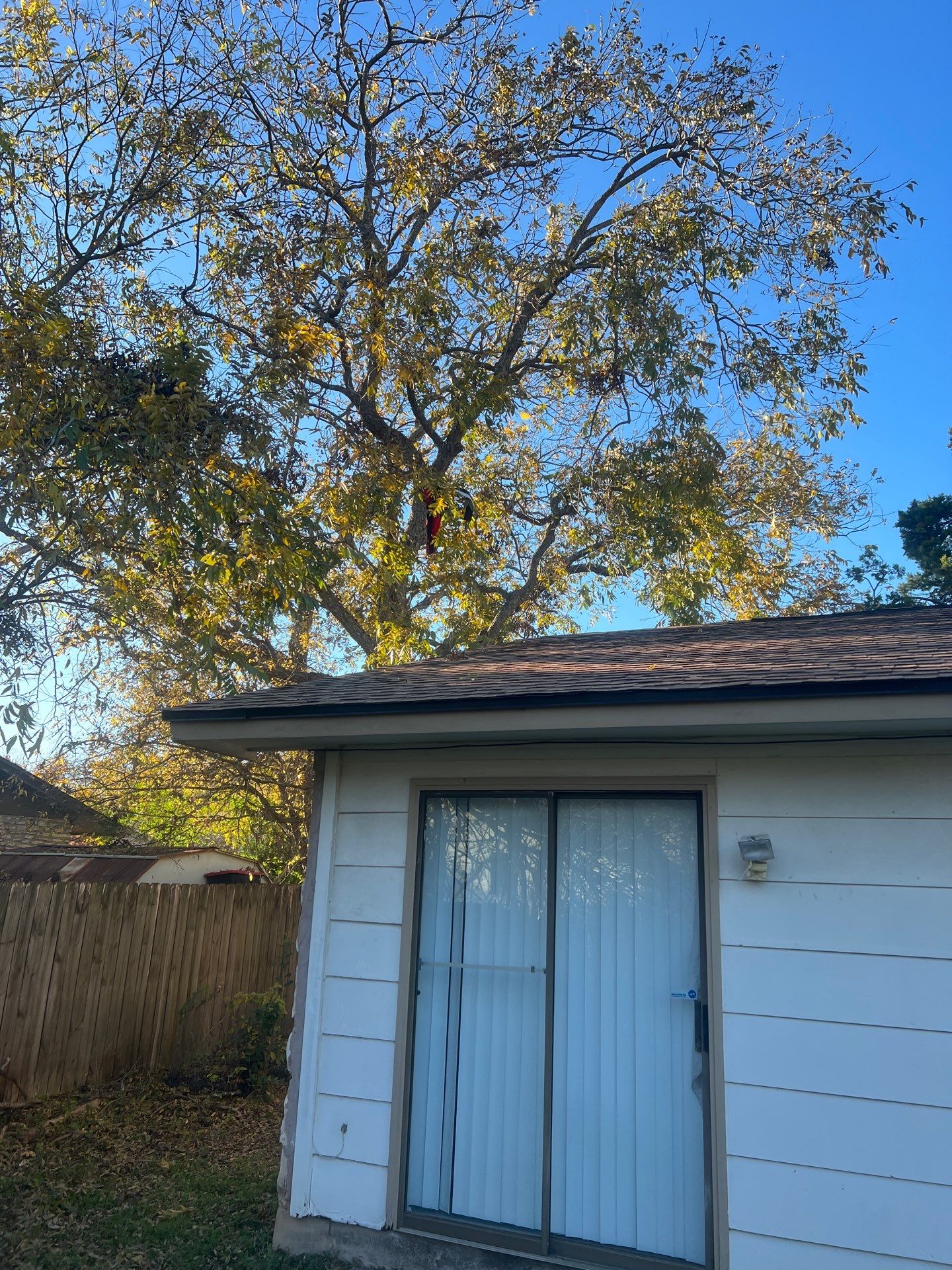 Project in Austin by Rhino Roofing and General Contracting, LLC