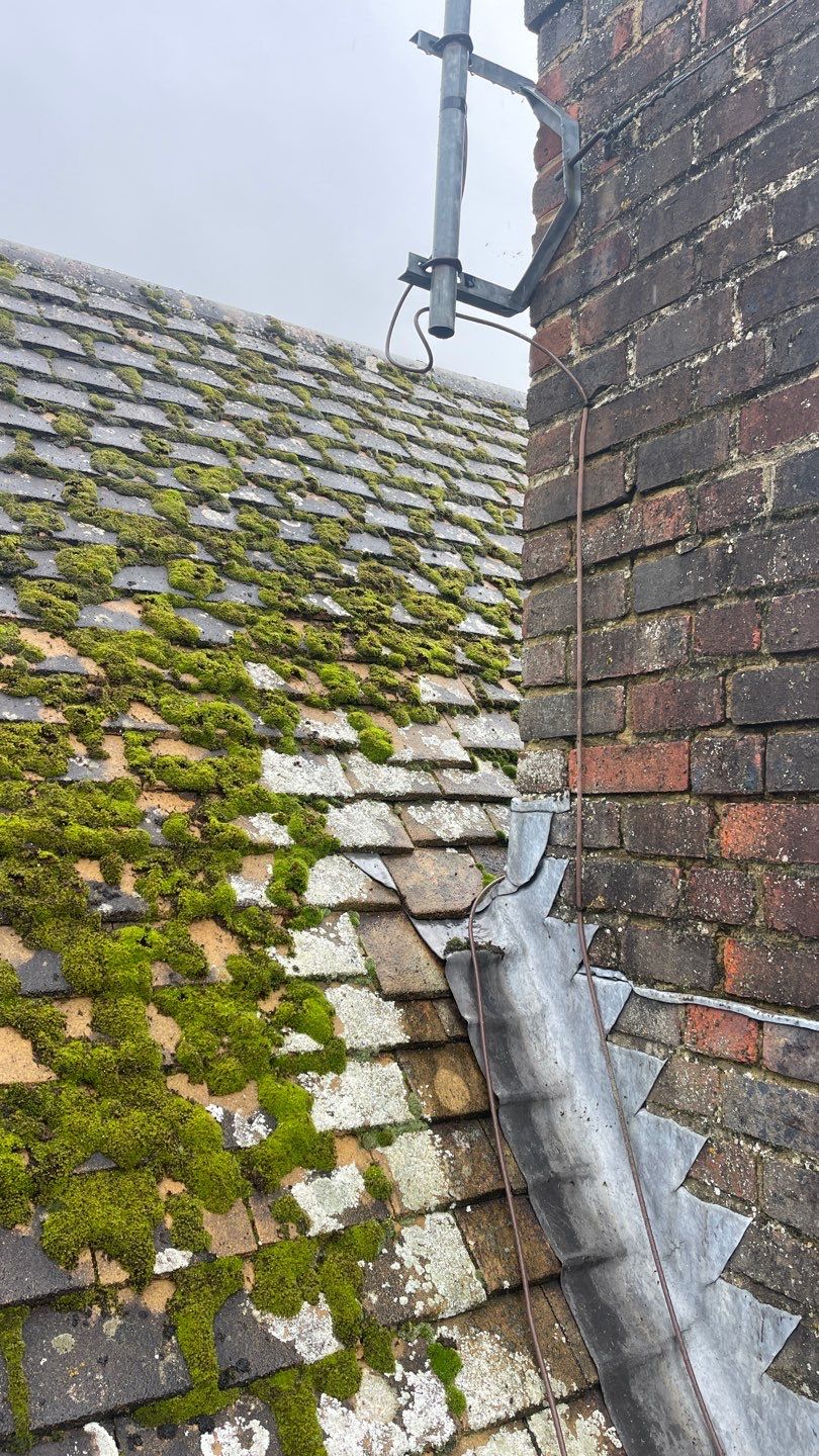 Roof Clean - Biocide Treatment using Honda 15lpm Low Pressure Washing Machine by Ges Exterior Cleaning ltd