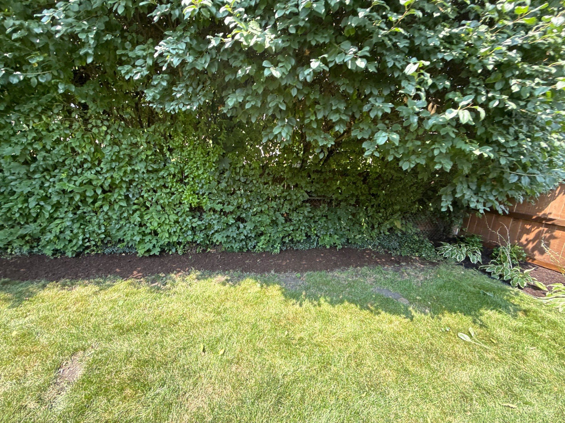 Nancy M. - Park Ridge, IL by A&N