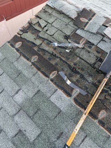 Elizabeth's Full Re-roof by All Storm Roofing & Construction