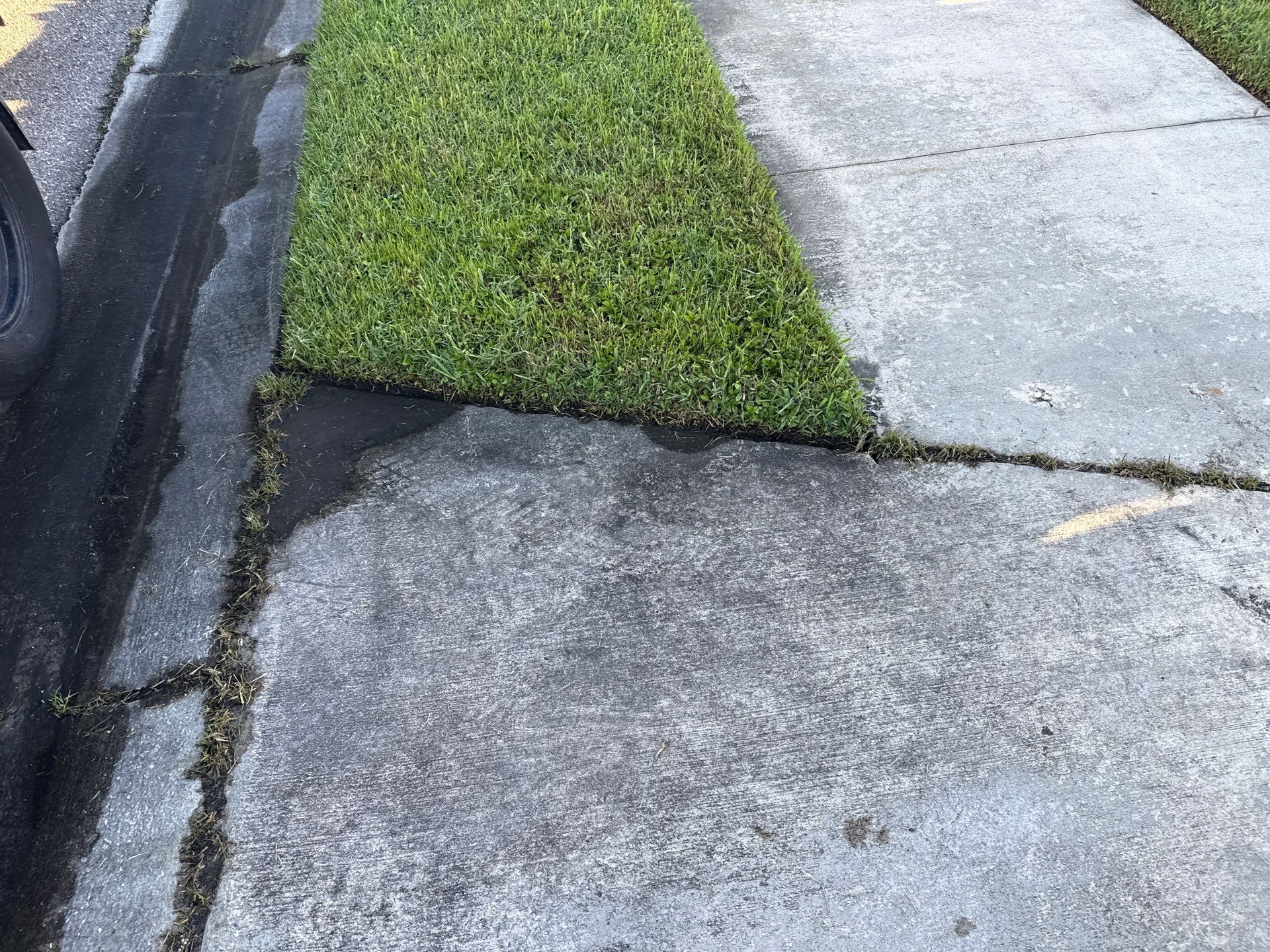 π‘ Safety and curb appeal go hand in hand! by Sunshine AquaWash