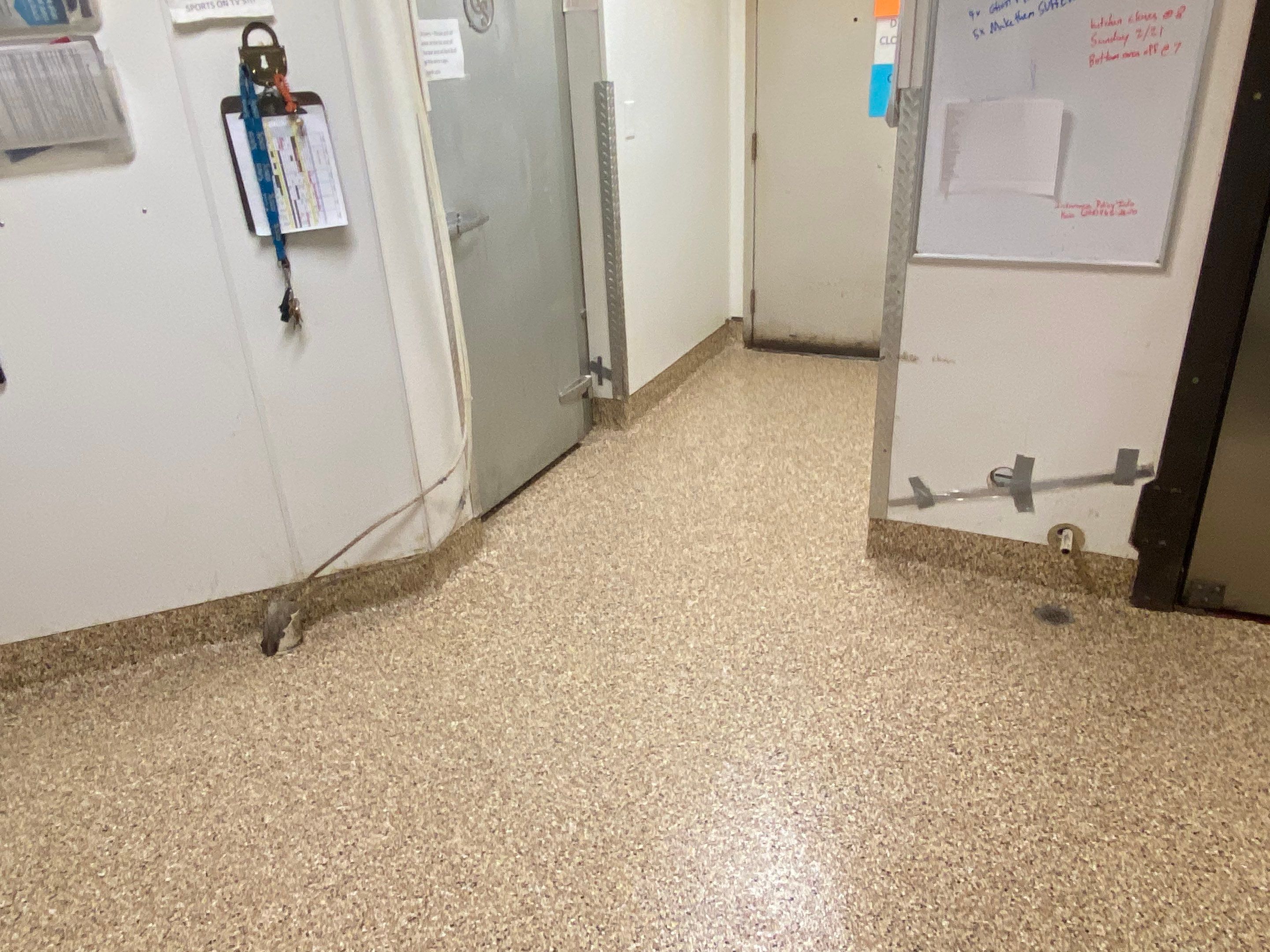 Commercial Floor Transformation using Penntek Evolution System by Croc Coatings, LLC
