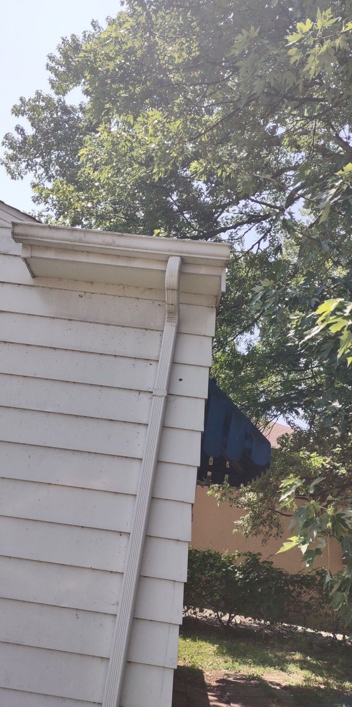 Tree Trimming using Tree Pruing by Mike Jones & Sons Tree Service LLC 