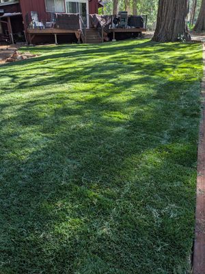 Project in Grass Valley