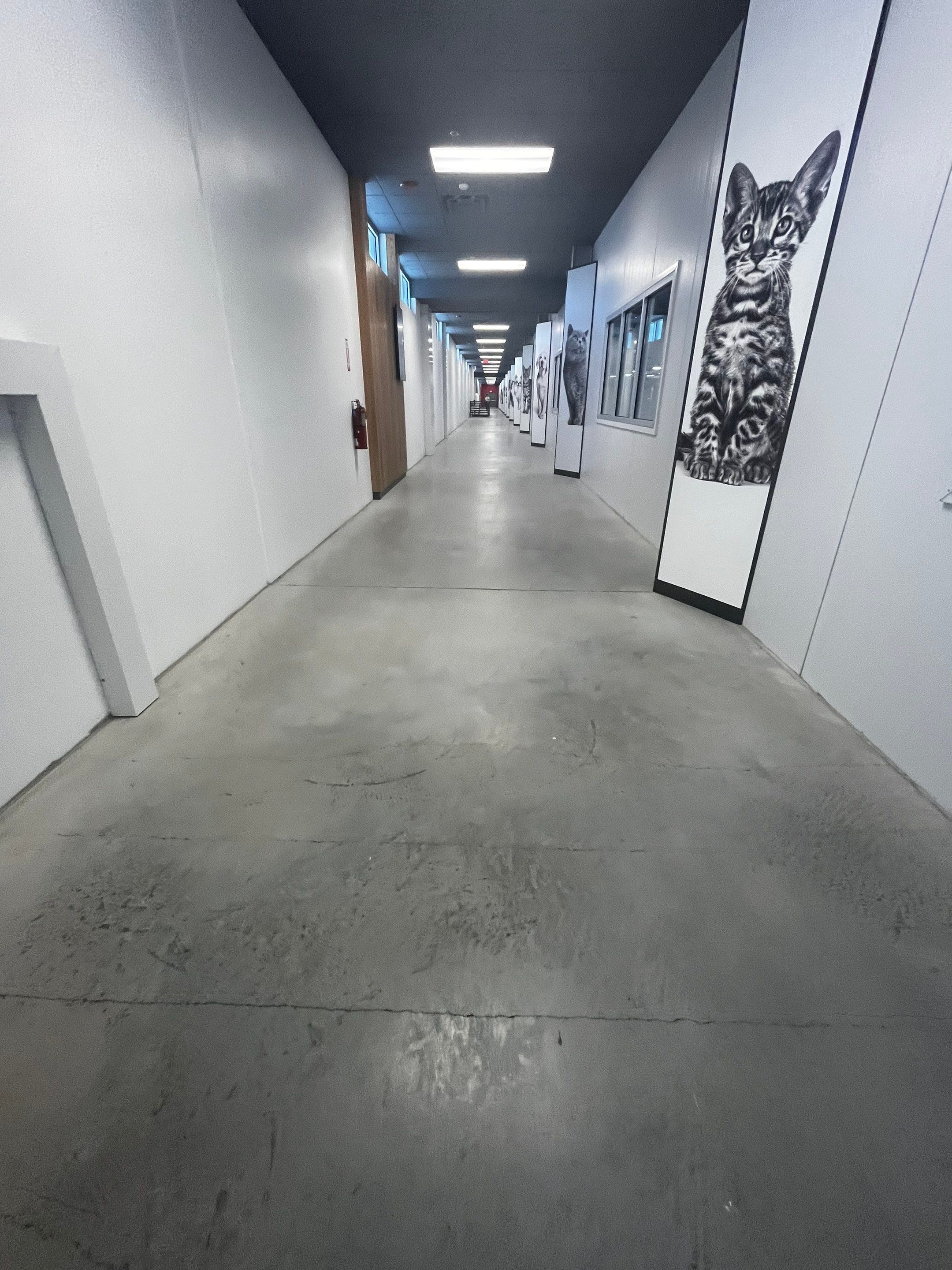 Royal Canine - Floor Renovation by Select Painting, Coatings & Garage Cabinets