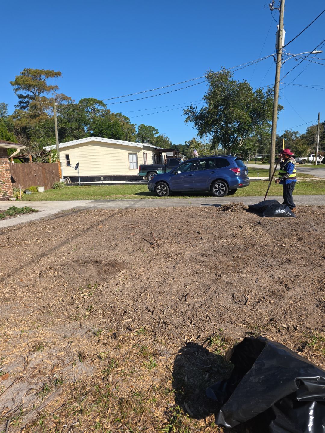 Tree Removal & Sod Install | Residential by ProGreen Services